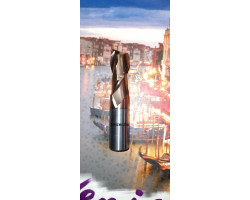 Maró d 6.0x 13 z2 VHM TiSIN 55HRC